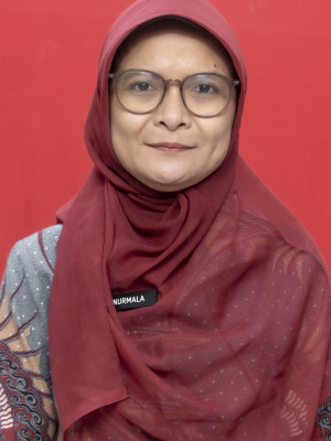 DINI NURMALA
